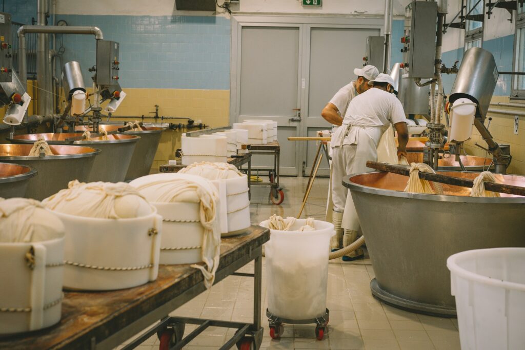 parmesan tillverkning