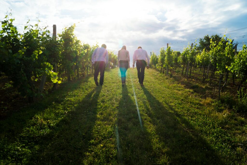 promenad bland odlingar i italien